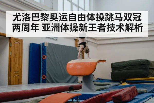 尤洛巴黎奥运自由体操跳马双冠两周年 亚洲体操新王者技术解析
