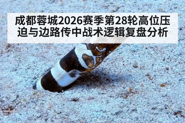 成都蓉城2026赛季第28轮高位压迫与边路传中战术逻辑复盘分析